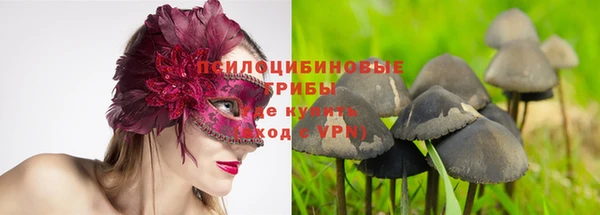 гидропоника Киреевск