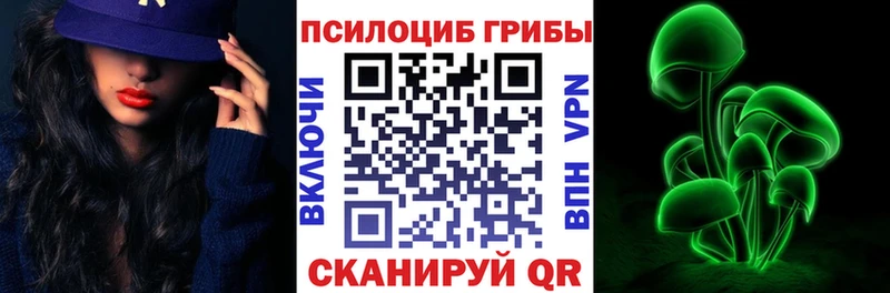 Псилоцибиновые грибы прущие грибы  omg как зайти  Энем 